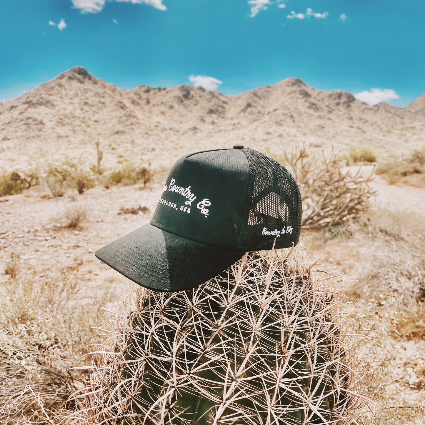 a green hat sitting on top of a cactus