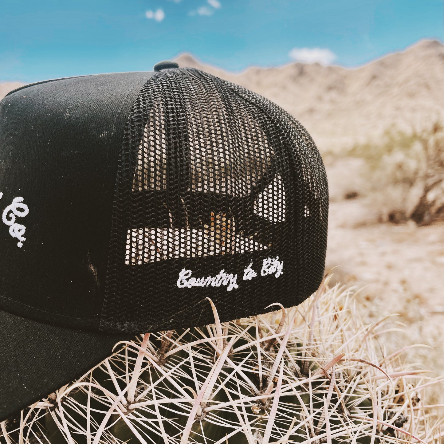 a black trucker hat sitting on top of a cactus