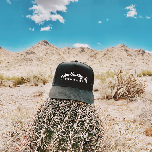 a baseball cap sitting on top of a cactus